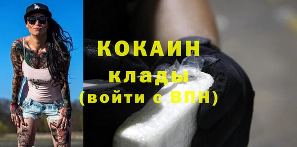 стафф Алексин