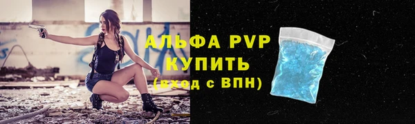 стафф Алексин