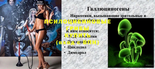 стафф Алексин
