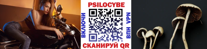купить наркоту Буй Галлюциногенные грибы мицелий